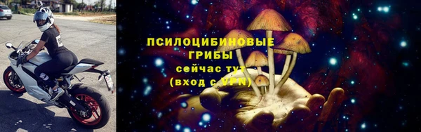 герыч Ладушкин