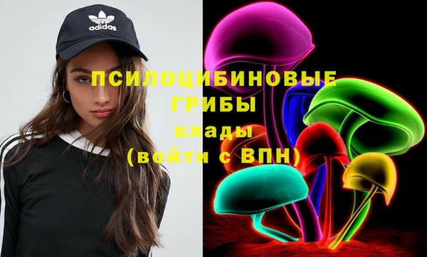 герыч Ладушкин